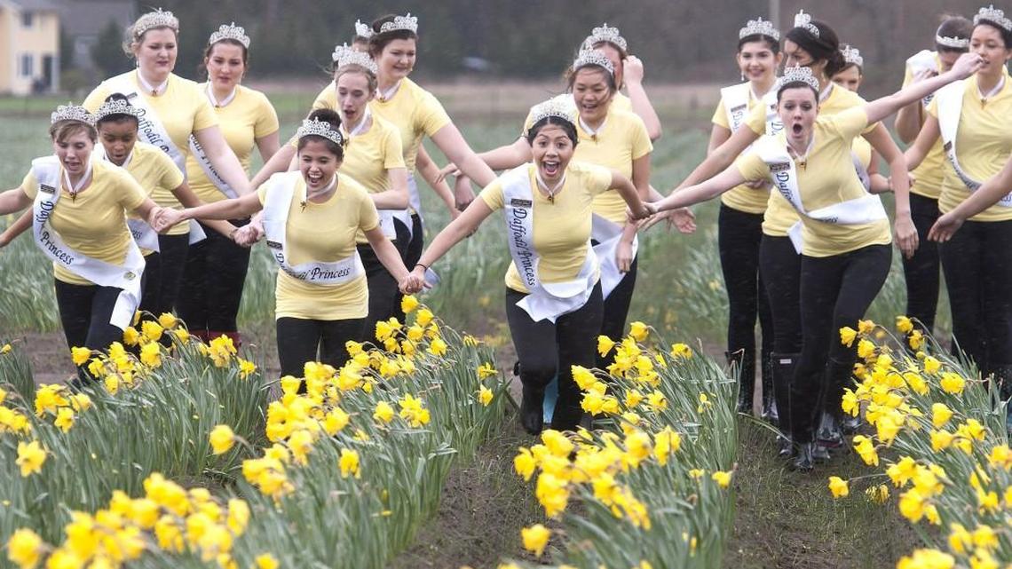 Daffodil Princesses charge through a field of flowers at Knutson Farms in Puyallup. 2016.