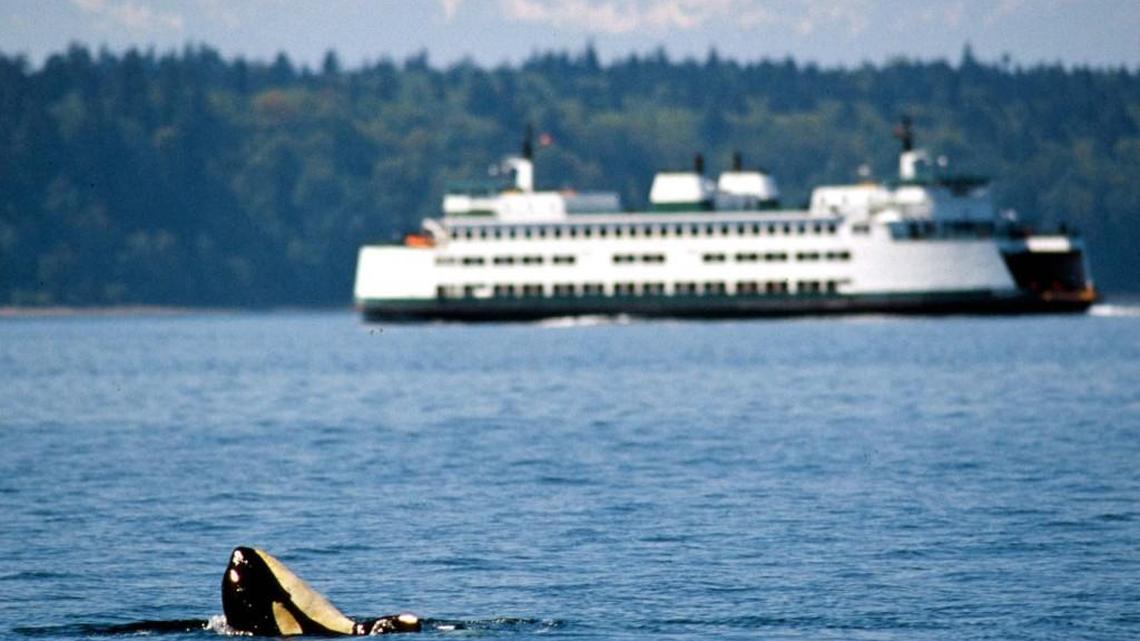 Traffic safety, ferries, State Patrol targeted in proposed transportation budgets