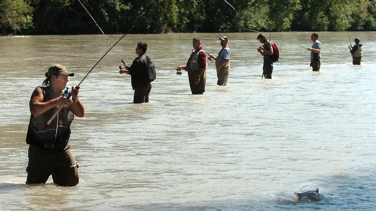 Pink salmon were running strong in the Puyallup River in 2009, bringing large crowds of anglers to the riverbank in Puyallup. Fishing interests will be well represented on a new Pierce County Outdoor Sports and Recreation Council.