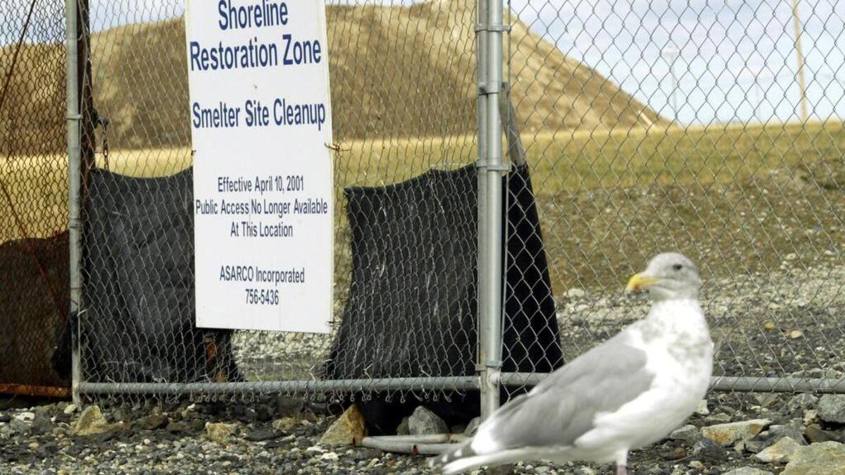 The former Asarco Superfund cleanup site is shown in Ruston, Wash. in this Oct. 14, 2003 file photo.
