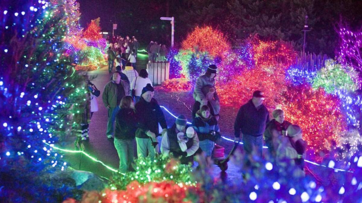 Throngs of people strolled around Point Defiance Zoo & Aquarium to enjoy Zoolights in December 2011.