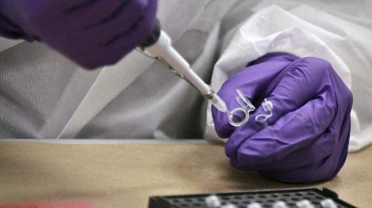 Forensic scientists use DNA to identify criminals. (AP Photo/Bebeto Matthews)