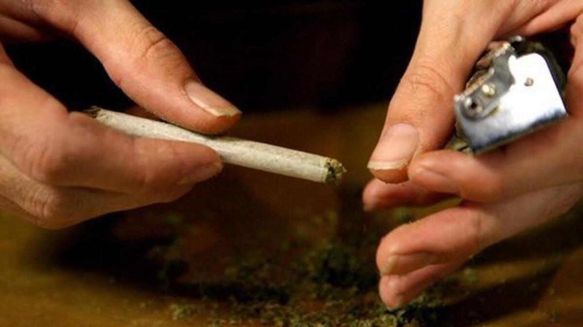 A marijuana cigarette is rolled for purchase at a medical marijuana dispensary in Olympia.