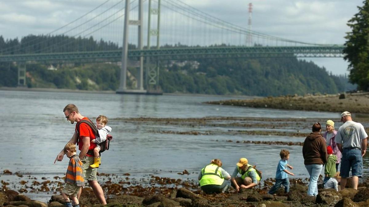 Beachcombers enjoy a minus-3-foot low tide at Tacoma’s Titlow Beach for a Father's Day outing. The growing threats to the health of Puget Sound affect everyone from commercial fishermen to outdoor recreation lovers.