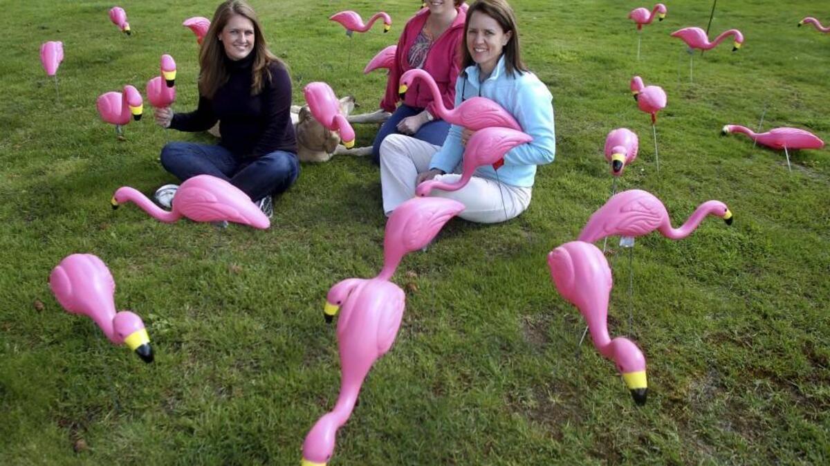 Plastic yard flamingos, which so enrapture TNT columnist Stuart Grover of Tacoma, are a rich local tradition. These members of Calvary Presbyterian Church in Enumclaw once “flocked” yards as a fundraiser for a mission trip to South Africa.