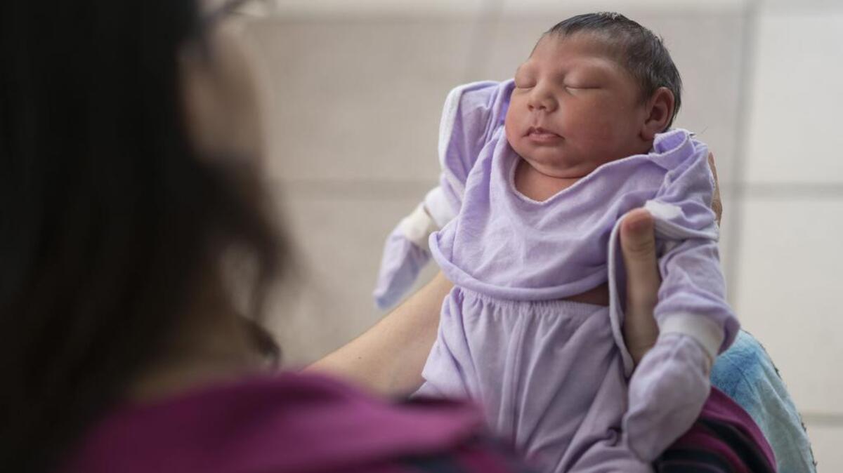 Cassiana Severino holds daughter Melisa Vitoria, born with microcephaly in Recife, Brazil. The Zika virus, believed to cause the condition when a pregnant woman is infected, is spread by the Aedes aegypti mosquito, which is well-adapted to humans, thrives in people's homes and can breed in even a bottle cap's-worth of stagnant water.