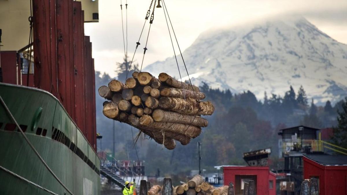 Longshoremen load logs for export at the Port of Tacoma. Maintaining a working waterfront is likely to be a topic of discussion in 2017.