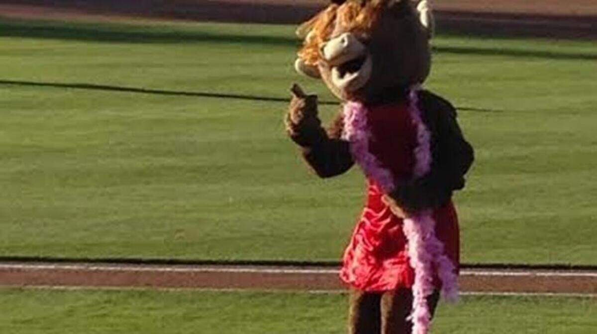 Tacoma’s Rhubarb the cross-dressing reindeer may never win a place in the Baseball Hall of Fame, but he’s already won a spot in our hearts.