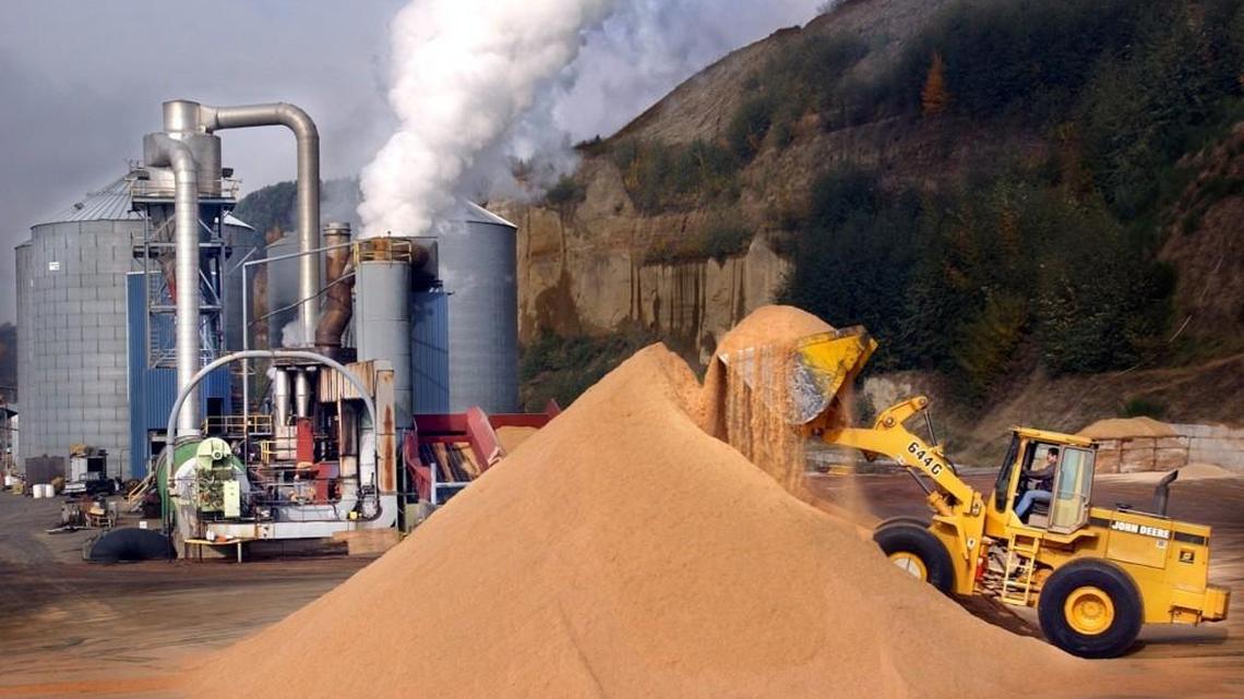 Manke Lumber employees scoop up sawdust to make wood pellets at company’s operation at the Tideflats in Tacoma.