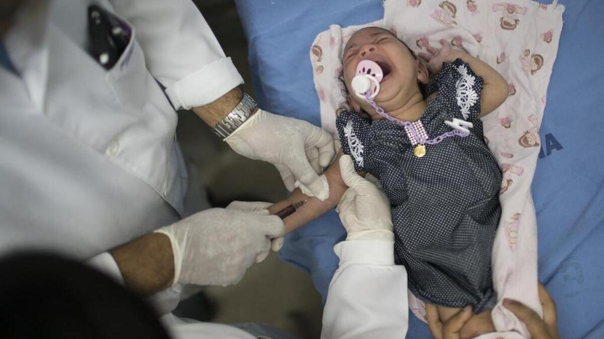 A doctor draw blood from Luana, who was born with microcephaly, at the Oswaldo Cruz Hospital in Recife, Brazil, Jan. 28. Brazilian officials still say they believe there's a sharp increase in cases of microcephaly and strongly suspect the Zika virus, which first appeared in the country last year, is to blame. The concern is strong enough that the U.S. Centers for Disease Control and Prevention this month warned pregnant women to reconsider visits to areas where Zika is present.