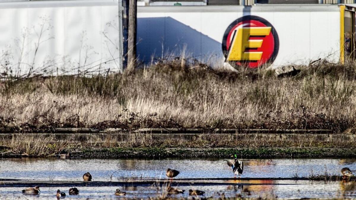 A shortfall in the state tax on petroleum products and other “hazardous substances” has put in doubt reimbursement for two major cleanups the Port of Tacoma has completed on the former Arkema chemical site, shown here, and the Kaiser Aluminum site.