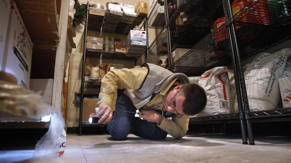 Jerry Caird, Thurston County environmental health specialist, looks under shelving in the dry storage area while inspecting a local restaurant. Pierce County is now catching up to Thurston and other jurisdictions by more openly reporting restaurant health closures.