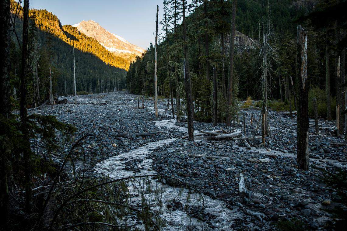 A ghost forest along and a debris flow field along part of Tahoma Creek at Mount Rainier National Park in Washington state, Oct. 20, 2018. America’s glaciers are losing ice as the world warms. As they shrink and meltwater eventually declines, changes in water temperature, nutrient content and other characteristics will disrupt those natural communities. (Max Whittaker/The New York Times)