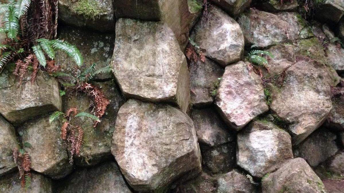 Columnar basalt formations along the trail up Mount Peak in Enumclaw.
