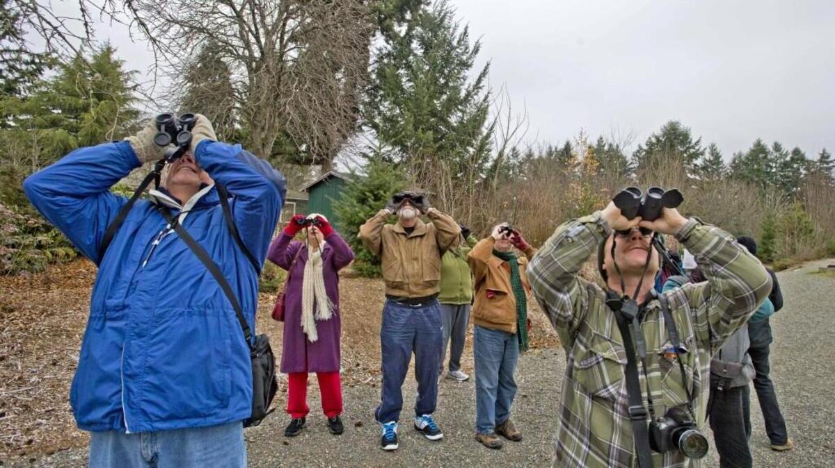 Adriana Hess Wetland Park in University Place will be the location for a beginning birders walk Dec. 12.