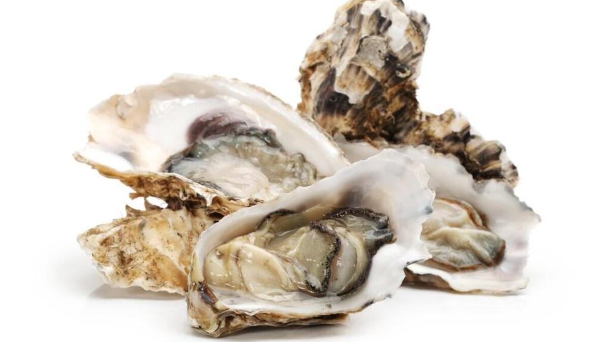 It will be all about oysters at Saturday’s Hama Hama Oyster Rama in Lilliwaup.