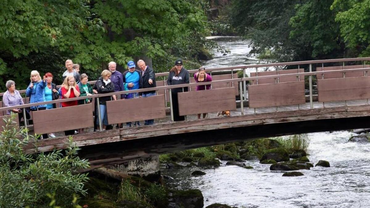 The Capitol Volkssport Club will hold a walk Tuesday that will wind through Tumwater Falls Park.