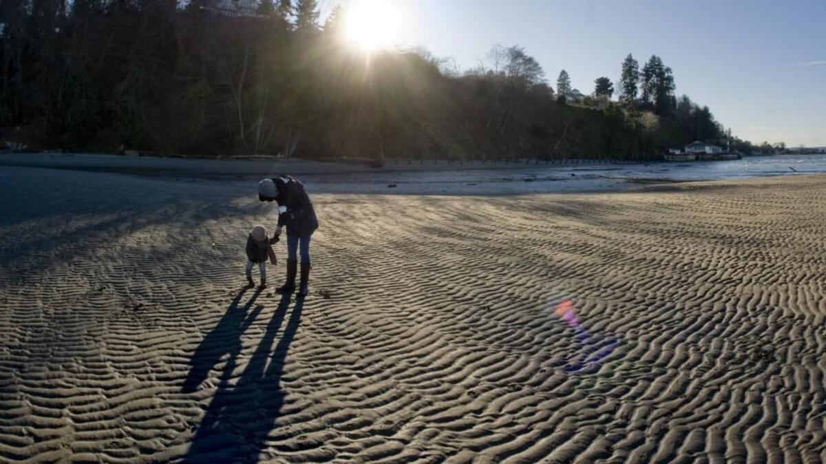 There will be a beach walk and nature walk at Dash Point State Park Jan.1, part of the First Day Hikes offered by Wahsington State Parks.