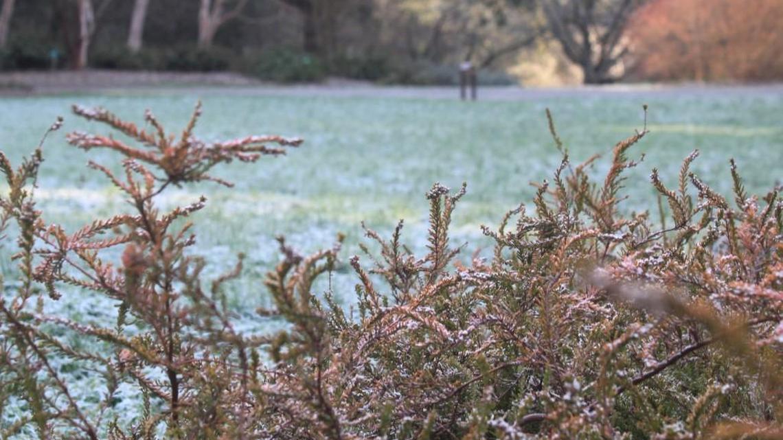 9 wonderful reasons to be thankful you garden in Western Washington