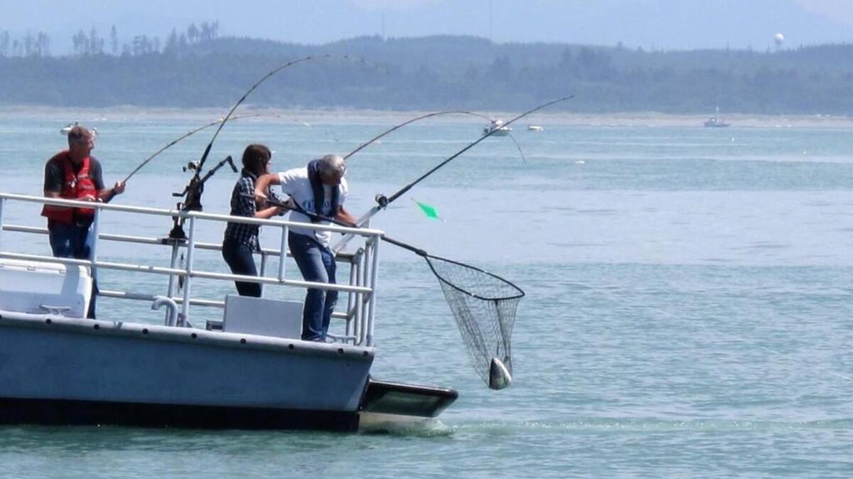 Initial salmon run forecasts will be released Tuesday at a meeting in the General Administration Building in Olympia.