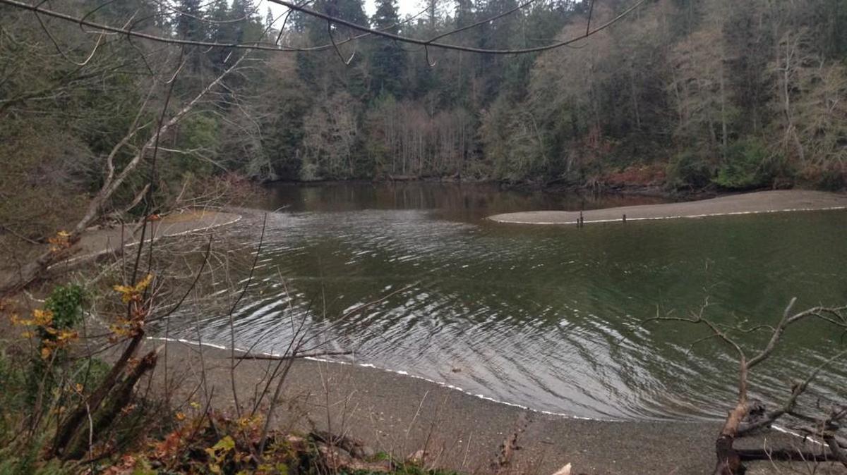 Ellis Cove in Olympia’s Priest Point Park.