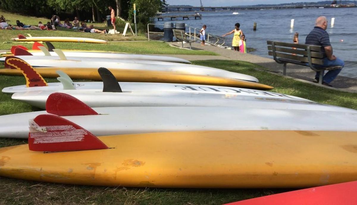 Standup paddle boards line the grassy slope at Madison Beach on Lake Washington in Seattle.