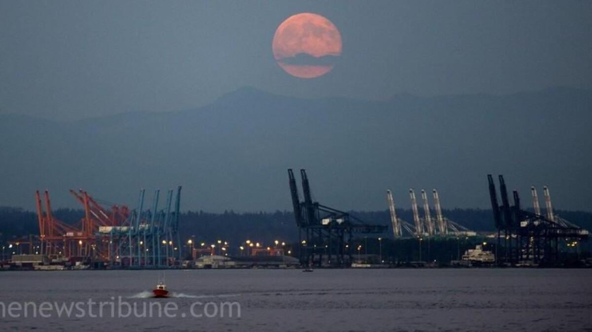 A supermoon rises over the Port of Tacoma on July 12, 2014. Another one will be visible, weather permitting, Sunday (Nov. 13) and Monday.