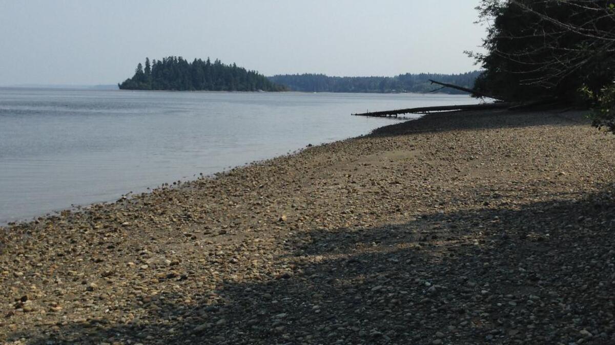 The beach on the eastern side of Harstine Island is a short walk from the trailhead.