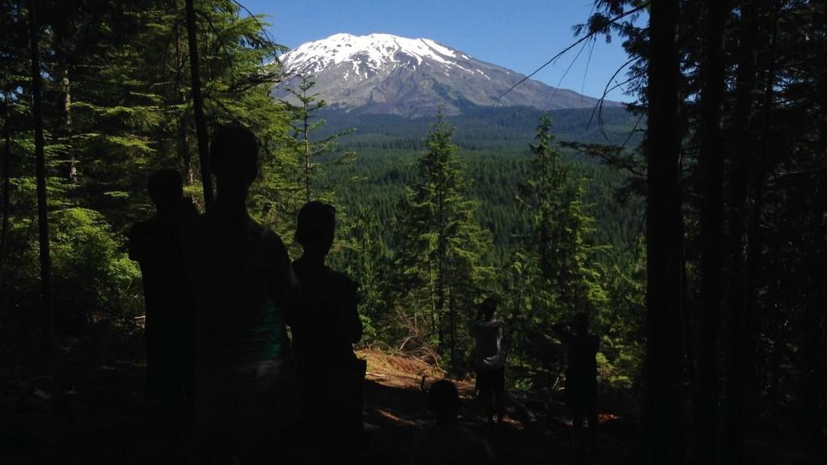 Volcano View Trail lives up to its name. It’s located near Ape Cave on the south side of Mount St. Helens.