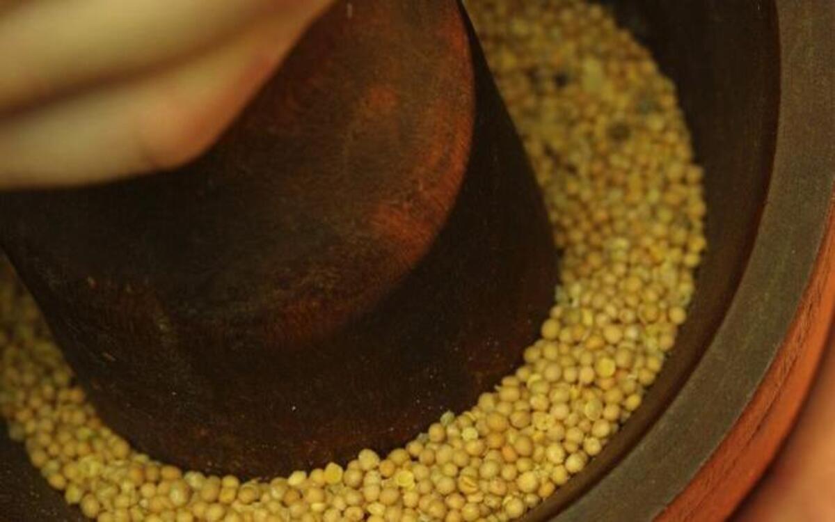 
Yellow mustard seeds in a wooden pestle are ground with a wooden mortar. Some endurance athletes say a spoonful of yellow mustard helps relieve leg cramps.
