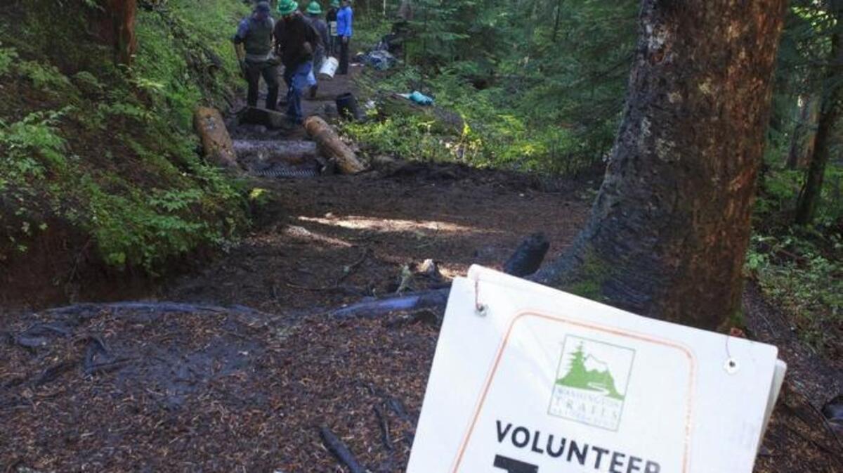 
Volunteers do trail work at Mount Rainier National Park on National Public Lands Day in 2014. This year's event will take place Saturday.
