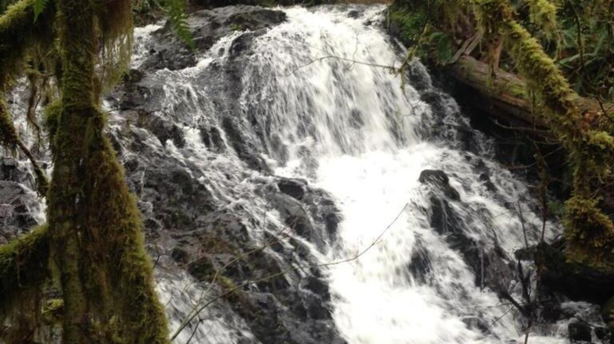 Research shows outdoor water sources like waterfalls, lakes and oceans are beneficial for mental and physical health. Here are five places in Thurston County to visit.