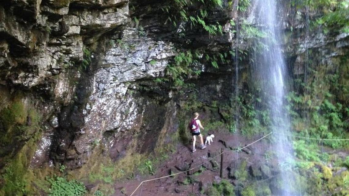 Hikers can get behind Curtain Falls near the Cispus Learning Center in Gifford Pinchot National Forest.