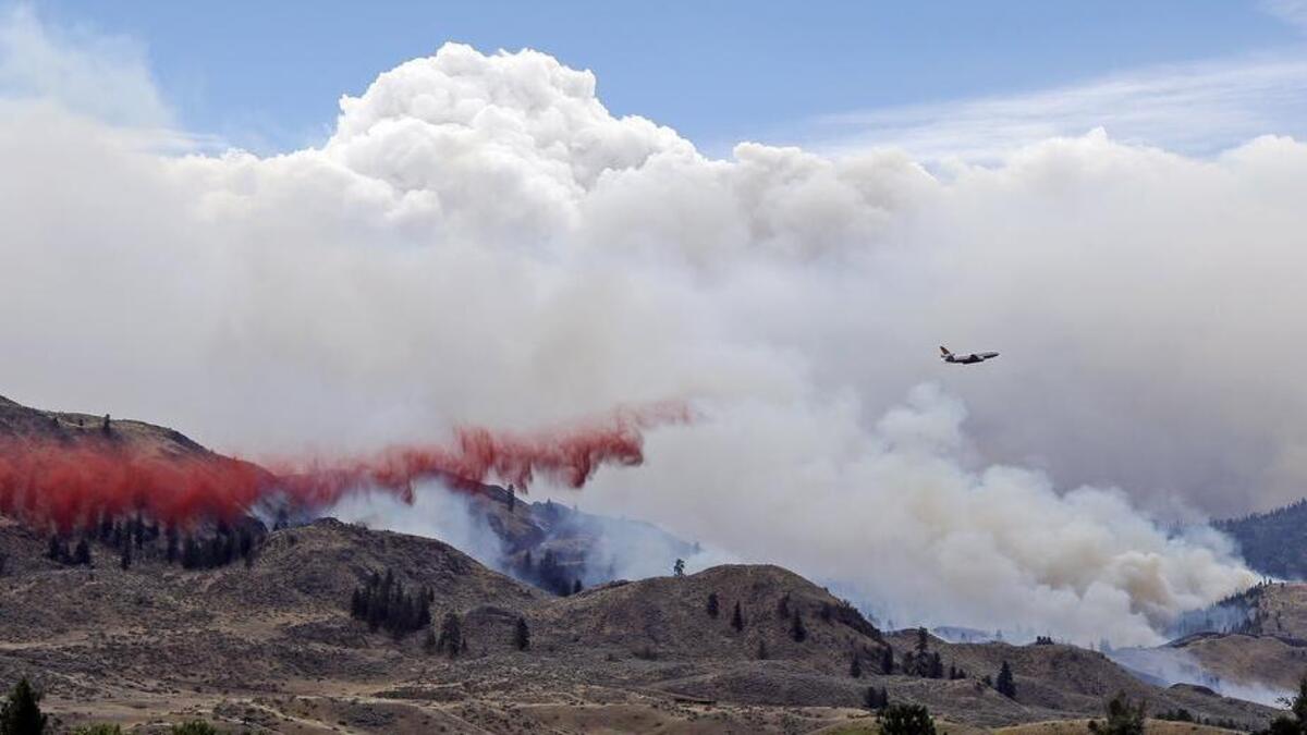 
The Carlton Complex fire burned more than 400 square miles in Central Washington last summer. The largest wildfire in state history, it kept some hunters from accessing their favorite areas. State wildlife officials are concerned hunters will face similar issues this year.
