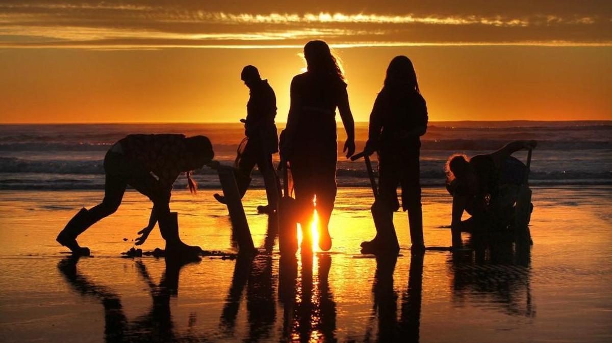 Clammers hit the low-tide line as they search for razor clams on the beach near Grayland State Park on Feb. 17, 2015.