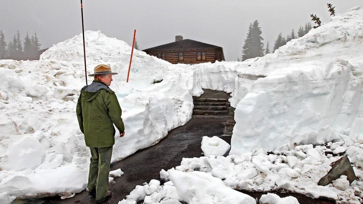 Opening the Sunrise area is always a challenge for the staff at Mount Rainier National Park. Crews have cleared the road, however, to allow hikers and bicyclists to use the road beginning Friday.