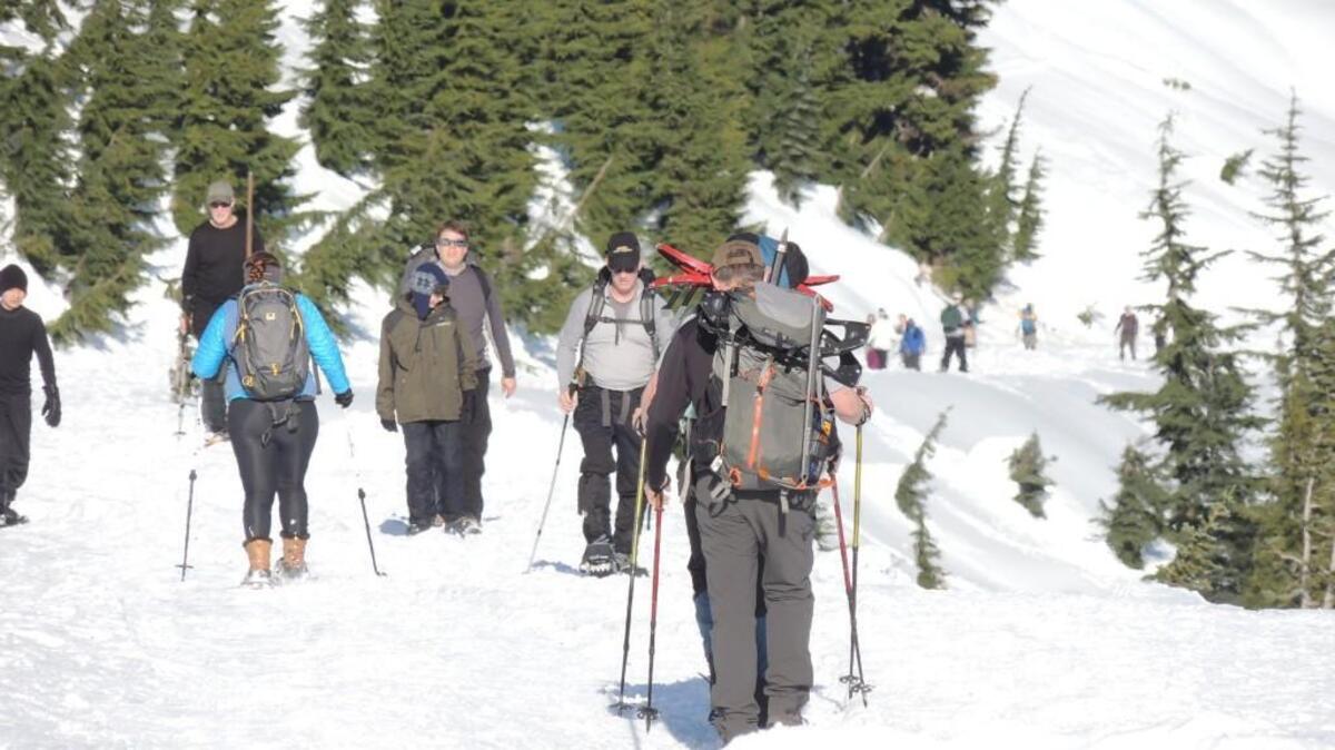 The Paradise Valley Road is a popular snowshoe walk at Mount Rainier National Park.