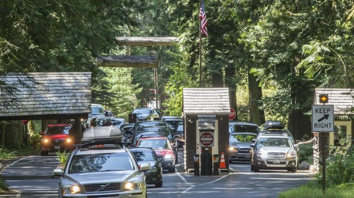 Traffic jammed the Nisqually entrance of Mount Rainier National Park in August 2016.