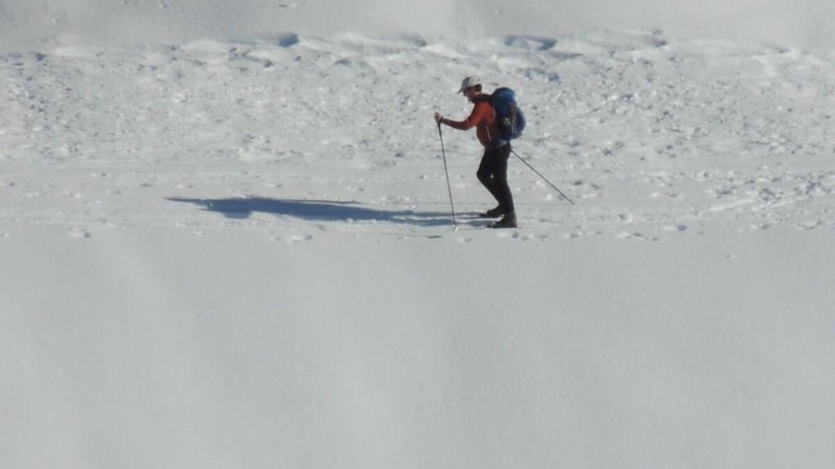 The Paradise Valley Road is a good place to cross-country ski or take a snowshoe walk at Mount Rainier National Park.