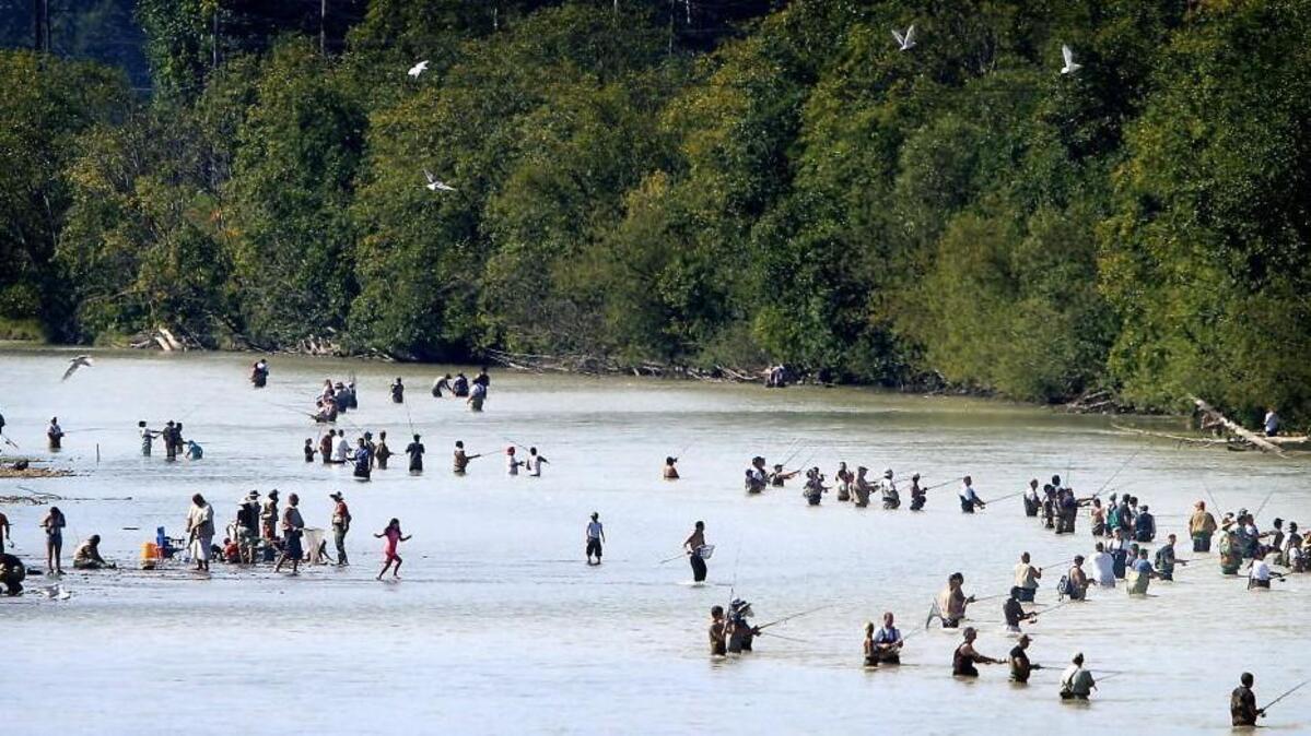 The state Department of Fish and Wildlife is reviewing a number of fishing license fee increases. If approved, the increases would generate $12 million a year for the department.