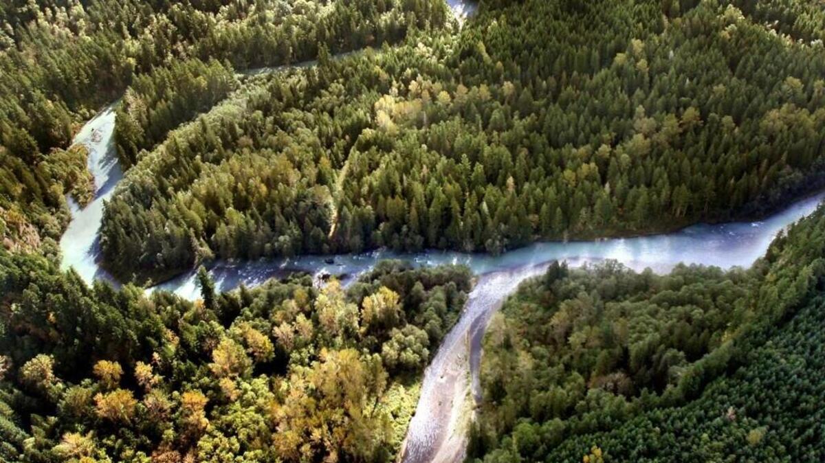 The Nisqually River Council is working to develop a Nisqually River Water Trail from below LaGrande Dam to the river’s mouth.