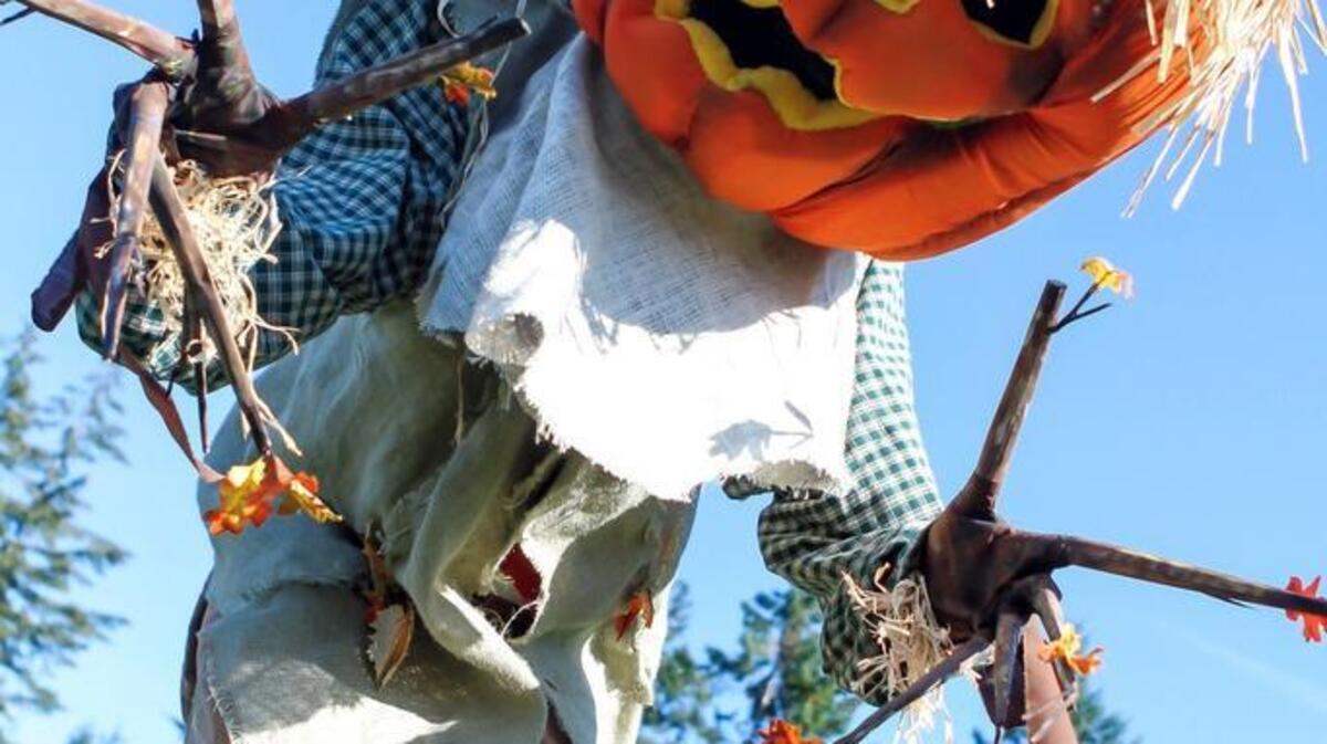 Pen Met Parks will hold its Scarecrow Festival Saturday at Sehmel Homestead Park in Gog Harbor.