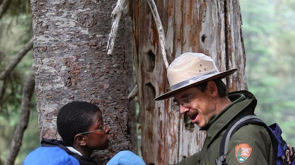 Mount Rainier National Park ranger Kevin Bacher talks about a cedar tree that was riddled with woodpecker holes during a hike on the Glacier Vista trail in 2010.