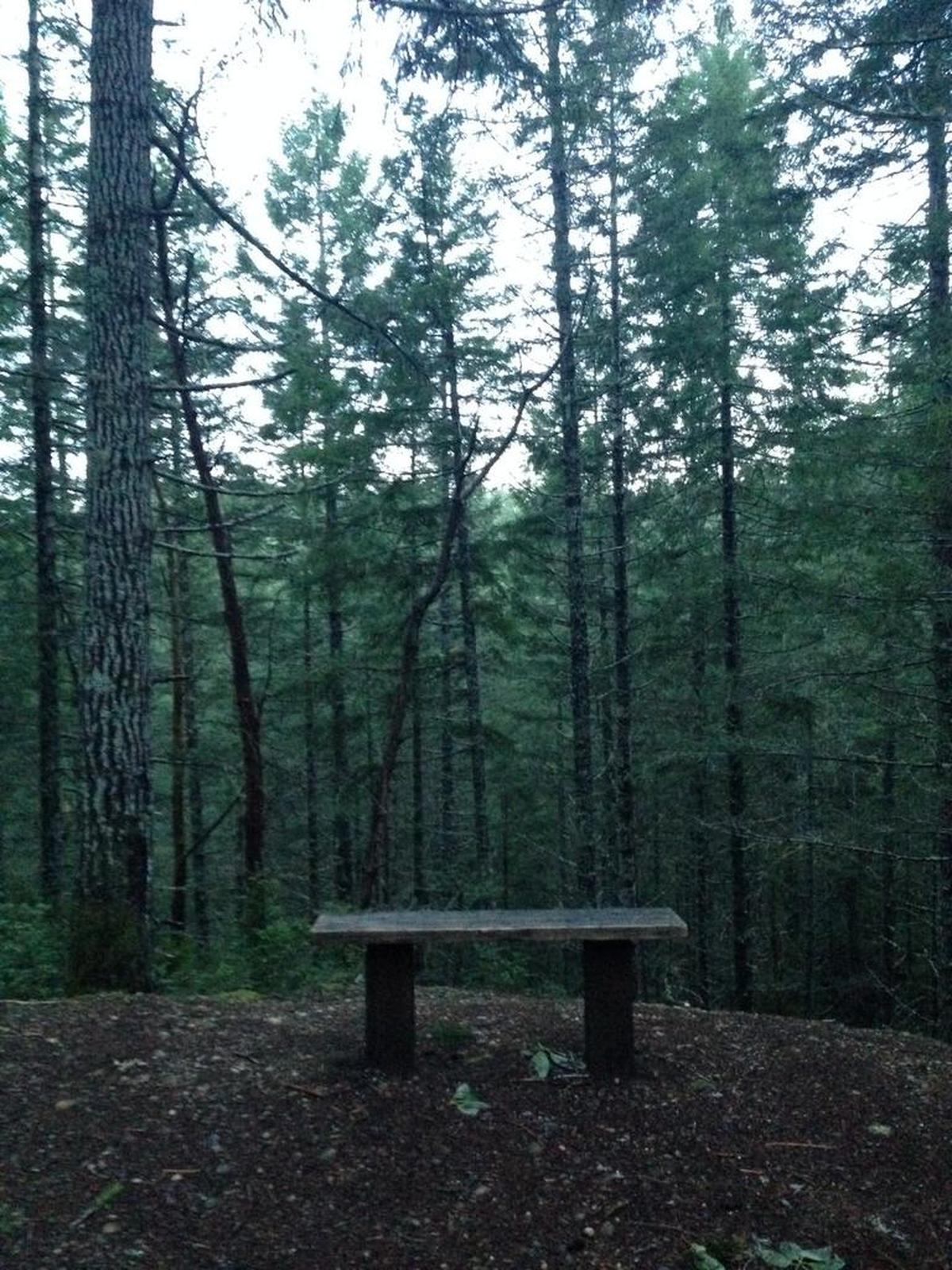 A bench gives hikers a place to pause during the hike through Twanoh State Park.