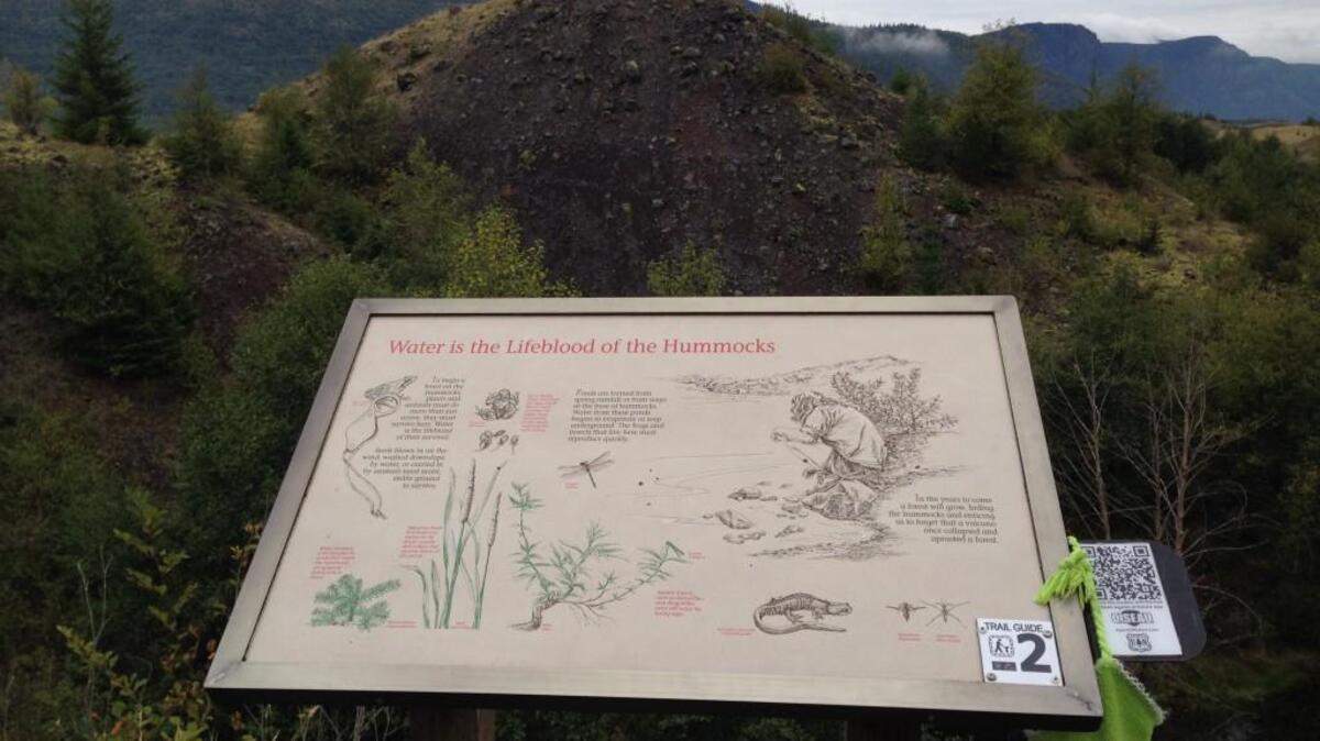 Interpretive signs on the Hummocks Trail inform hikers about the geology of Mount St. Helens.