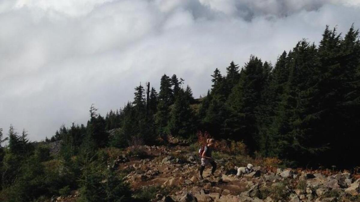 A fall morning on Mailbox Peak might mean hiking above the clouds.
