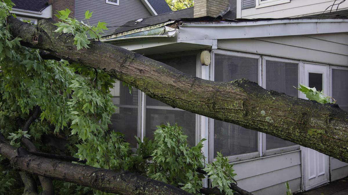 tree falling on house