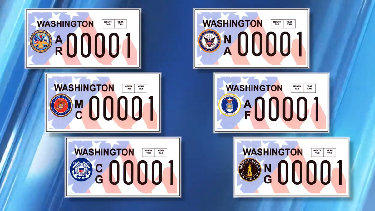 AFLP-all-plates-image.