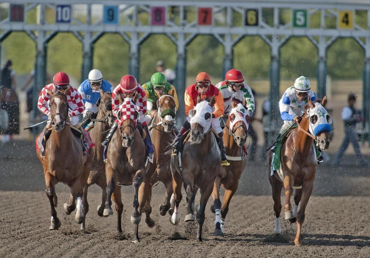 Emerald Downs race track in Auburn will open for business June 22.