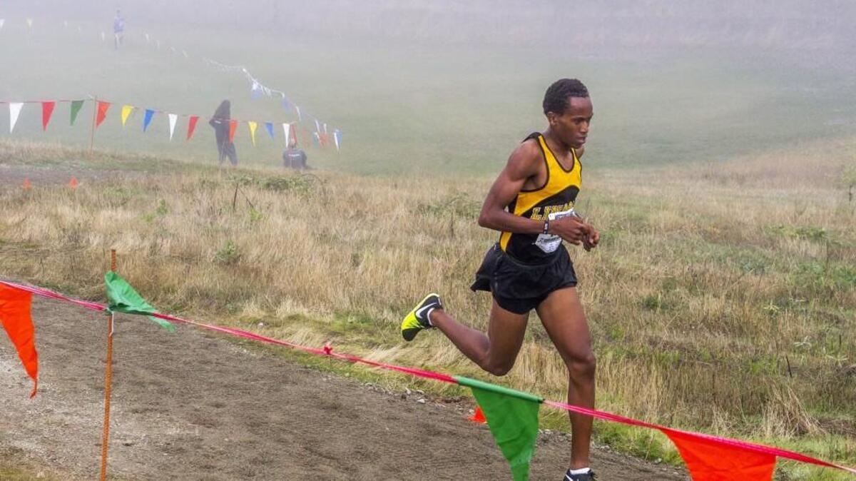 James Mwaura (3A winner, 15:30.60) of Lincoln High School is far ahead of Peter Smith of Gig Harbor (visible at left) late in the race at the Westside Classic district cross country championships held at the Chambers Creek Properties Central Meadow in University Place, October 28, 2017.